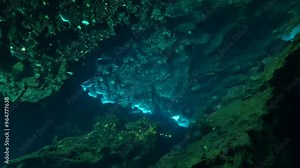 Top view from above, flat lay rotating cave background with dark, damp walls, underground rivers flowing through it, and glowing bioluminescent organisms covers the entire frame space