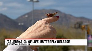 Spring has sprung: Amazing butterfly habitat returns at Springs Preserve