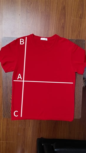 The Internet's Fastest T-Shirt Fold (2-Second Challenge)#shots