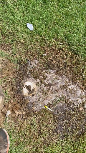 Whoa. 👀 #zoomdrain #drain #sewer #gross #messy #pressure #professional #draincleaning #service #fyp #foryourpage #ew #wastewater