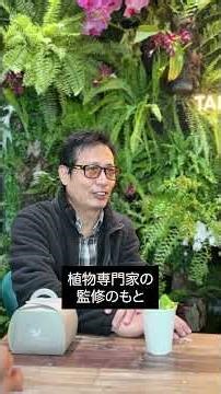 [Taipei 101] A relaxing space on the 101st floor! Orchid and Fern Sky Garden #TaiwanTrip