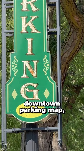 7.8K views · 81 reactions |  In this week’s episode of Local Insight, we’re sharing the City’s new interactive downtown parking map at elginil.gov/parking so you can see all parking lots, available spaces, and EV charging spots before you go. With upcoming events like La Fiesta de Elgin and Nightmare on Chicago Street, you can plan ahead for parking before you get to downtown Elgin. | City of Elgin, Illinois Government | Facebook