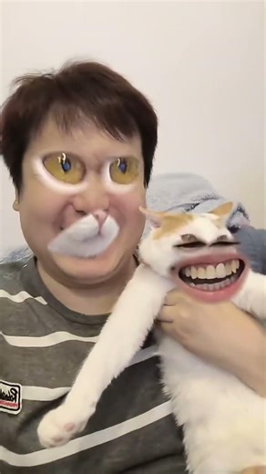 Cat face swap gone wrong #cat #cats #catslovers #funny #fyp
