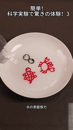 #科学実験 #簡単実験 #理科 #おもしろ実験 #子供と楽しむ