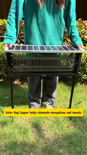 Solar Bug Zapper-Easy Plug-and-Play Solar Insect Lamp for All Seasons | Amber Lynn Sysel-Lodge