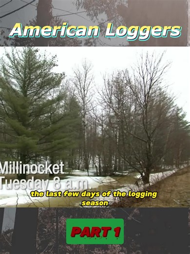 Heavy Machinery in Logging: Nature vs Machine