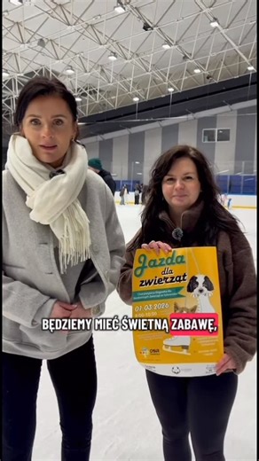 Fundacja Mam Pomysł / Schronisko Świdnica | Czekamy na Was już 1 marca! Udział w wydarzeniu to cegiełka 25 zł, w ramach której: • korzystacie z lodowiska przez dwie godziny •... | Instagram