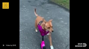 15 reactions | A look behind the scenes of how we make 3D printed...