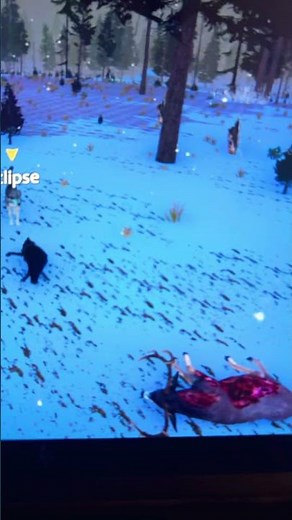 How it feels like to try to get a mate in Wolf quest anniversary edition, since mine ditched me-