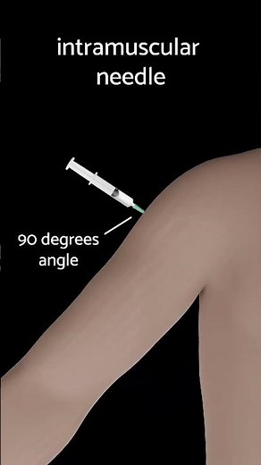 intramuscular needle 💉💉 #needle#injection#intramuscularinjection #anatomy #medical #doctor#science