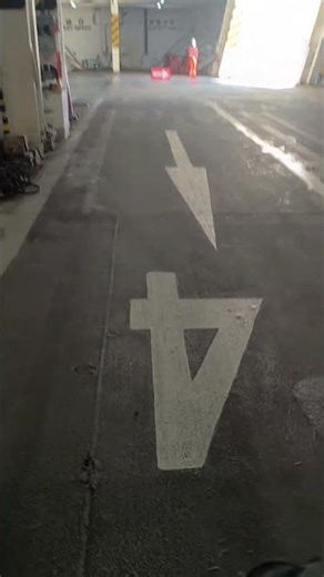 2026年5月9日 さんふらわあ ふらの ロードバイク下船 大洗港