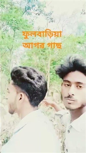 #audio ফুলবাড়িয়া আগর গাছ #fishing