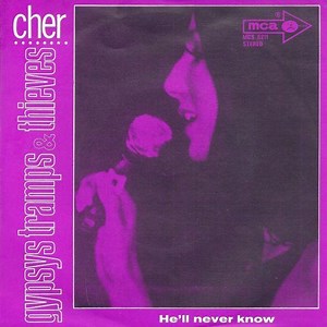 Cher - Gypsys Tramps & Thieves | Top 40