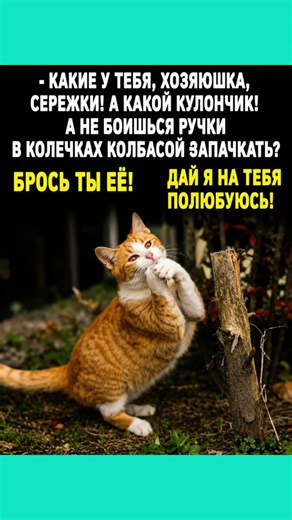 #смех #приколы #юмор #мем #shorts #cat #memes