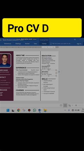 Profesional CV Design en MS Word