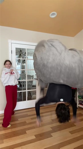 Bella Albanese's Dance Moves with Barney Theme