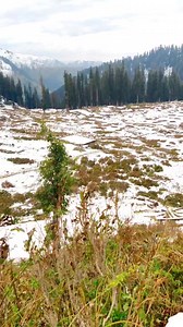Awesome view ♥️🌿🌲 | The Nature Explorer