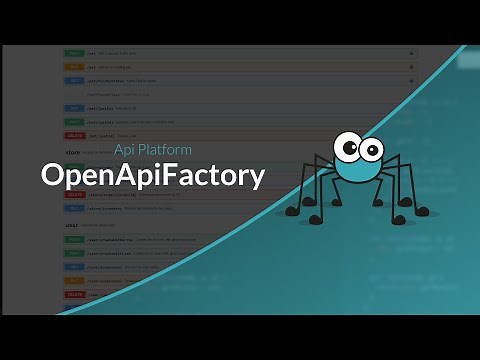 API Platform Discovery: Improving OpenAPI Documentation