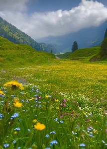 Welcome Spring 🦋 🌷🐇🌼🦜🌹🦚🌸🐞🌻🦋 | Nature
