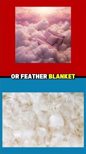 Would You Rather Pick the Mystery Blanket? 🤔 #shorts
