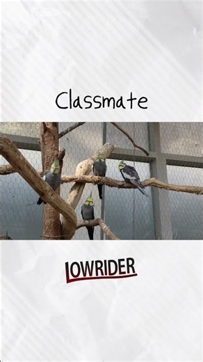 Classmate by LowriderㅣBGMㅣYoutube BGMㅣTiktok BGMㅣKineMaster Music #music
