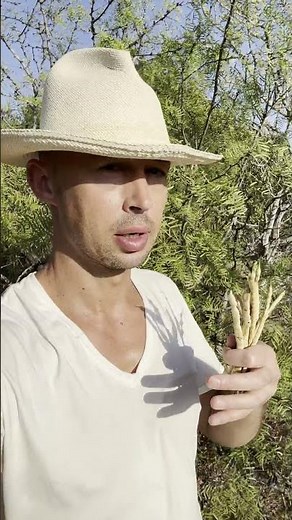 Easiest way to eat mesquite