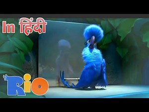 Rio movie best comedy scenes in Hindi || All best funny scenes ||Rio Hindi dubbed movie|| For kids