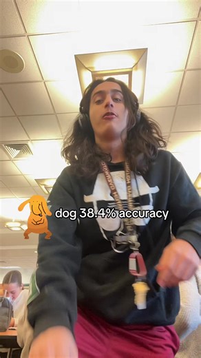 4.0 gpa activities #funny #meme #haha #dog