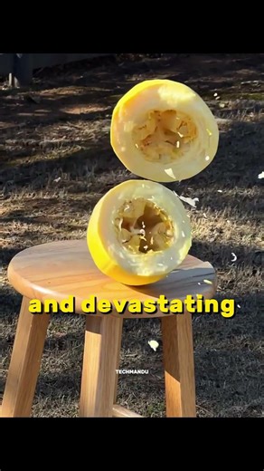 Feudal Japan’s Deadliest Woman’s Weapon #techmandu_official