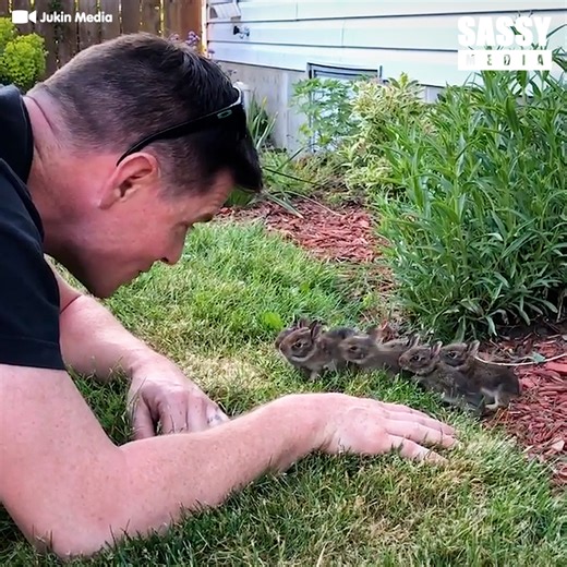 164M views · 6.2M reactions | This is the cutest thing ever! 殺️ | Sassy | Facebook