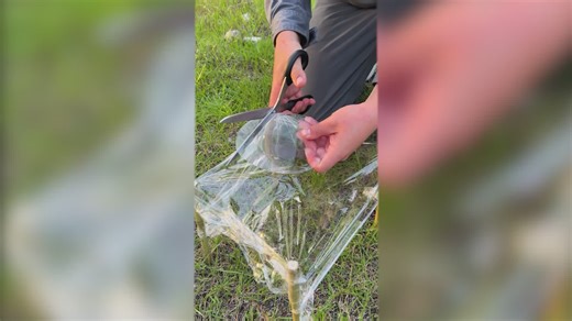 44K views · 137 reactions | How Tree Matter Becomes Glass — Amazing Process | 5-Minute Crafts Family | Facebook