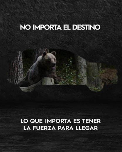 ¡Con JAC llega al destino que tú desees! 😉🚗Conoce más sobre tu modelo favorito en: www.jac.com.ec | JAC Autos EC