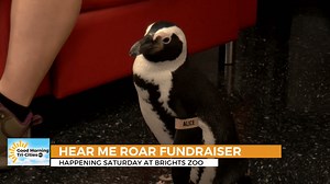 LIST: Events happening in the Tri-Cities this weekend