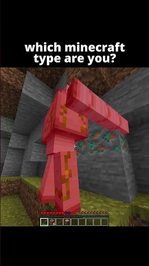 What Type Of Minecraft Player Are YOU? 😲