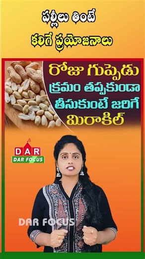 Eating Peanuts Daily: Can It Reduce Cholesterol and Protect Your Heart? | Latest updates | DAR FOCUS