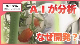 Inside Japan’s AI Tomato Robot