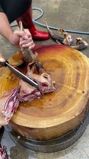 Sharp Knife Techniques for Clean Goat Head Cuts 1159 #knifeskills #butcher #goat #shorts