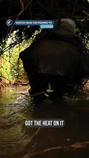 These monster trout live in the tiniest creek! - ‘Leviathan’ on Fishing TV Click the link to watch now! https://www.fishingtv.com/video/leviathan/ LEVIATHAN documents epic fly fishing battles with these modern-day aquatic monsters in a global tour-de-force. New Zealand is recognized as a mecca for trout anglers, but few realise that the largest of these live in tiny spring creeks hidden deep in the dense forests of the Bay of Plenty. LEVIATHAN descends into the forest to shine some light on thes