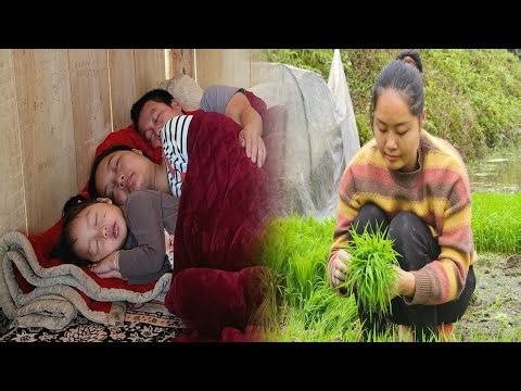 "Rural Life: Family Self-Sufficient Food Through Homegrown Crops"