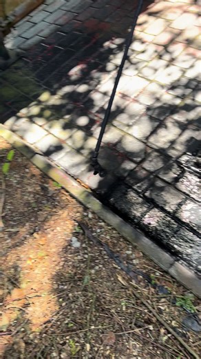 Western spray painters on TikTok