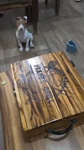 698K views · 18K reactions | Hice un grillbox para el intercambio navideño. . . . . . . #christmasgift #christmaspresent #christmaspresents #holidayfun #diyprojects #kitchenappliances #reelsfbpage #carpenter #skills #AmaZing #art #woodwork #woodworking #woodcarving #work #wooden #woodland #workout #How #diy #reelsvideo #reelsfb #reelsviral #reelsinstagram #reelitfeelit #reels #shorts | Pedro De Madery | Facebook