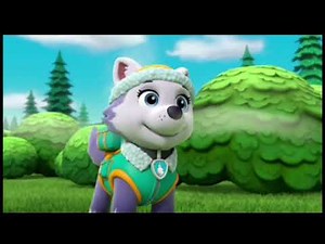 Paw Patrol - Everest Got Skunked from Pups Get Skunked