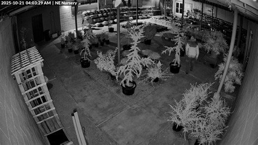 36K views · 5 comments | Tom's Tree Place on Reels | Facebook