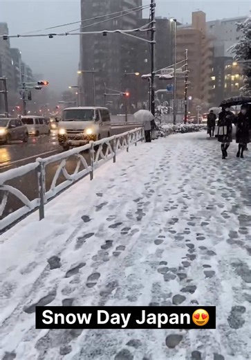 Japan 🇯🇵😍 #japan #japanese #japaneselifestyle