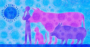 What Other Coronaviruses Tell Us About SARS-CoV-2