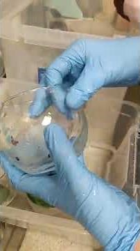 How to Remove Glitter and Mod Podge from Glass