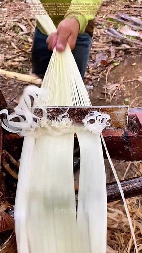 Banana Hemp Revolution: Turning Fibers into Gold