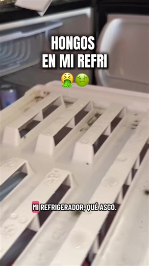 Effective Cleaning Tips to Handle Mold in Your Fridge