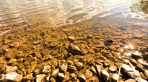 Stones, Pond, Waves. Free Stock Video