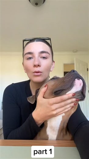 Gemma Louise on Instagram: "Early clock in ✨ part 1 #reels #gemmalou #americanbully #dogs #dogsofinstagram"